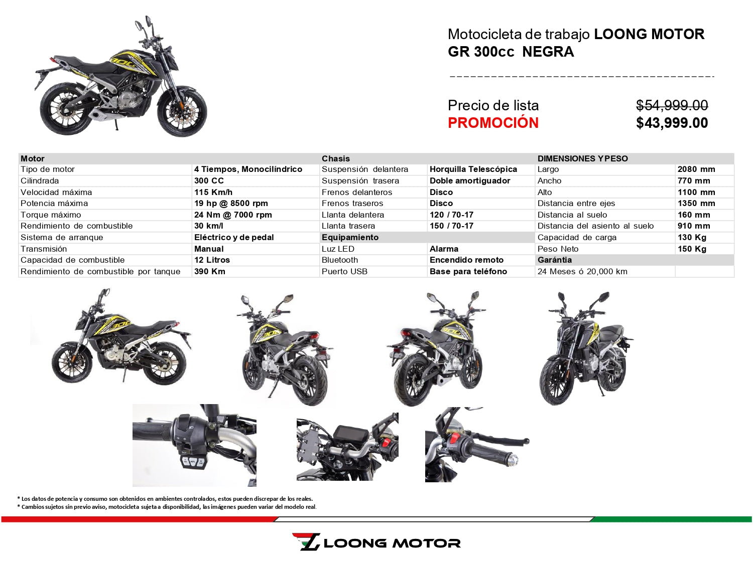 Loong GR300
