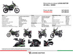 Loong GR300 Cross